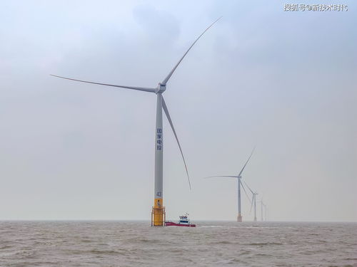国内首个数字化 智慧化海上风力发电场投运